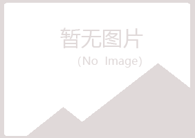 平顶山字迹咨询有限公司